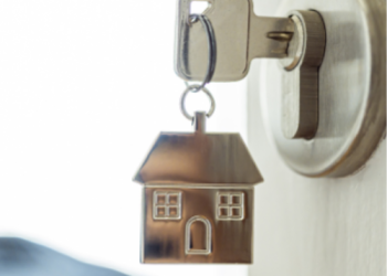 Untitled design (15)